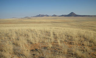 Kunenerivergrasslandshimbacountryimgp3546.jpg