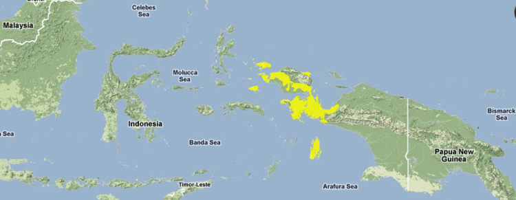 Vogelkop-aru-lowland-rain-forests.png