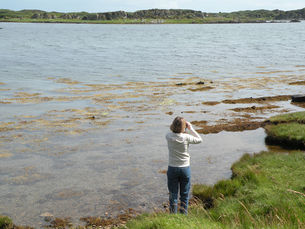 Islaybirdwatchingdscn1444.jpg