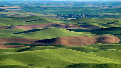 Palouse-hills-northeast-of-walla-wallalynn-suckow.jpg