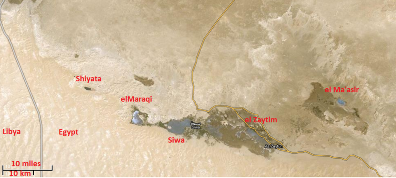 Siwa-oasis-4.png