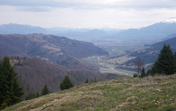 Carpathianmontaneforestsromaniaimgp2953.jpg