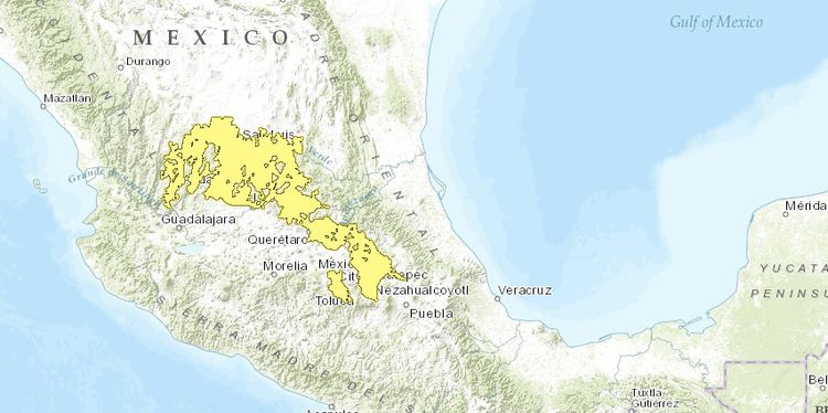 Centralmexicanmatorral.jpg