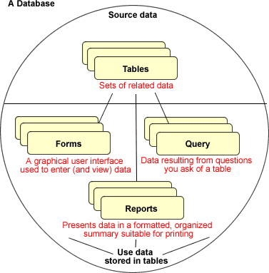 Database Structure