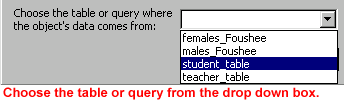 AutoReport-Choose table or query from the drop down box