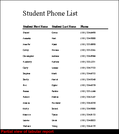 Tabular Report Example