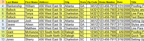 Data Sorted By Customer in an Excel Spreadsheet