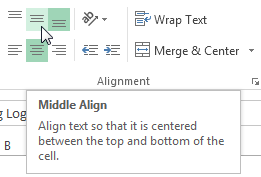 Screenshot of Excel 2013