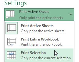 Screenshot of Excel 2013