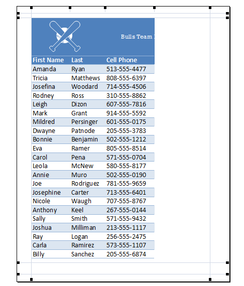 Screenshot of Excel 2013