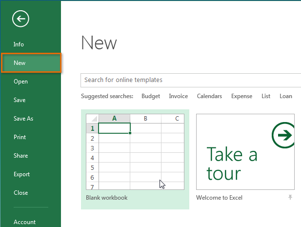 Screenshot of Excel 2013