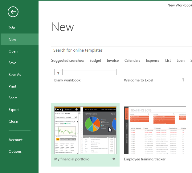 Screenshot of Excel 2013