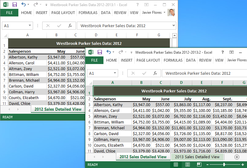 Screenshot of Excel 2013