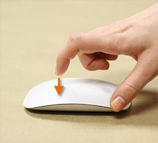 Photo of The Magic Mouse