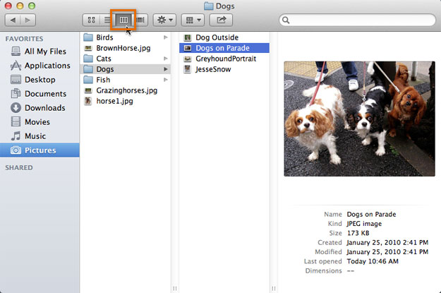 Screenshot of OS X Mavericks