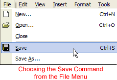 Save File