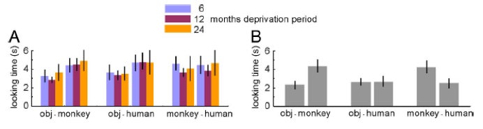 Multicolored bar graphs depicting time of looking tasks in monkeys and humans.