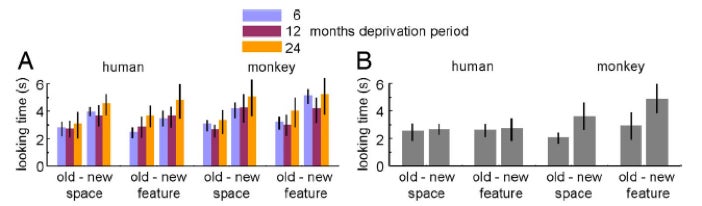 Multicolored bar graphs depicting average looking time for VPC task in monkeys and humans.