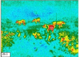 Thermal image using colors to indicate temperature.