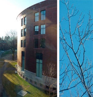 Two photographs of buildings and trees that illustrate daily scenes surrounding us.