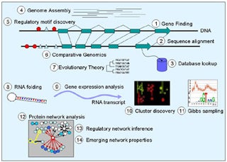 Challenges in Computational Biology