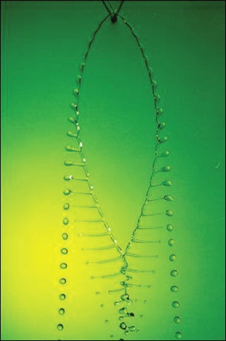 Photo of water drops with fishbone shape.