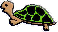 Tortoise.gif