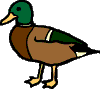 duck-vt.gif