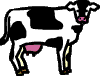 cow-vt.gif