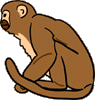 monkey-vt.gif