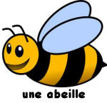 Abeille.jpg