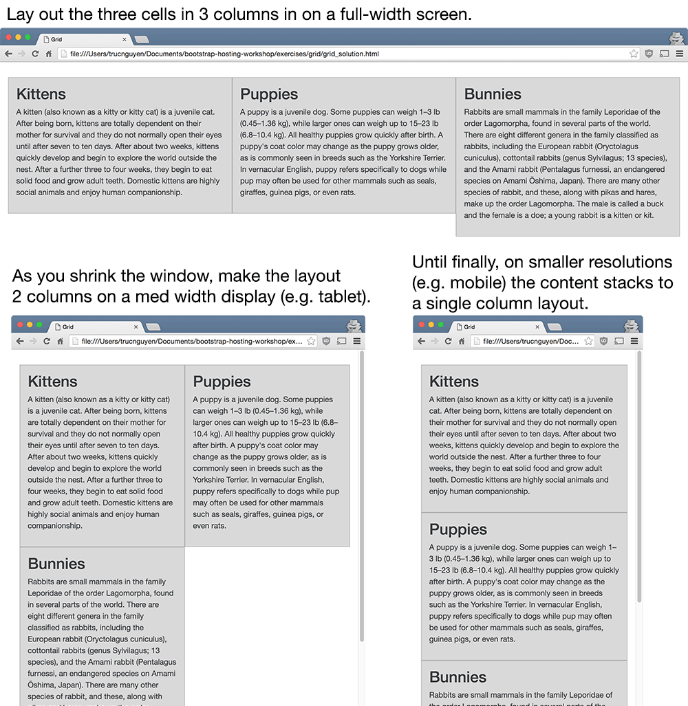 Responsive Grid instructions