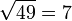 \sqrt{49} = 7