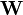 \mathbf{W}\,