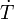 \dot{T}