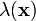 \lambda(\mathbf{x})