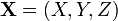 \mathbf{X} = (X, Y, Z)