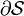 \partial{\mathcal S}