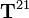 \mathbf{T}^{21}