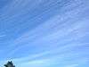 Cirrus fibratus and Cirrocumulus.jpg