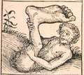 Nuremberg chronicles - Strange People - Umbrella Foot (XIIr).jpg
