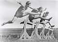 Women's hurdles race taking place at Sydney Sports Ground, New South Wales, March 1931..jpg