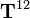 \mathbf{T}^{12}