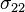 \sigma_{22}